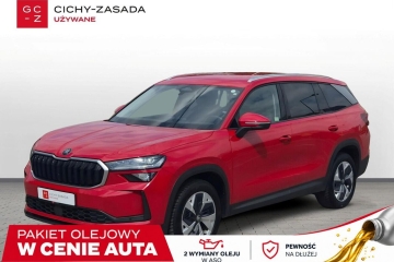 Polski Salon, I właściciel, Bezwypadkowy, Faktura VAT-23%, .