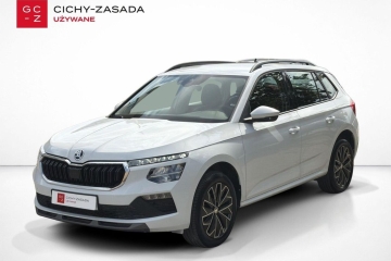 Selection 1.0TSI DSG, Salon PL, FV23%